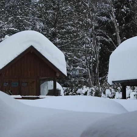 Familien & Wander-pension Purkhardt 3* Donnersbachwald