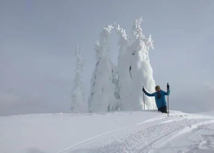 Familien & Wander-pension Purkhardt Donnersbachwald